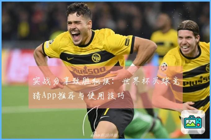 实战分享致胜秘诀：世界杯买球竞猜App推荐与使用技巧