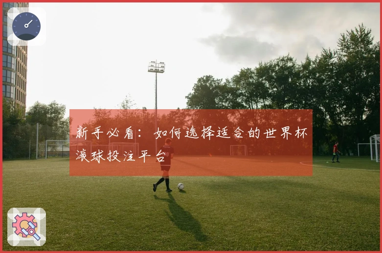 新手必看：如何选择适合的世界杯滚球投注平台