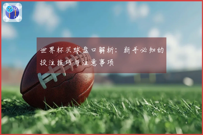 世界杯买球盘口解析：新手必知的投注技巧与注意事项
