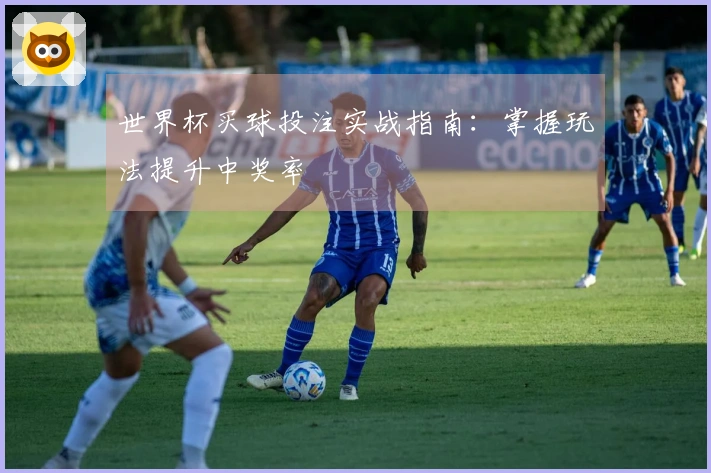 世界杯买球投注实战指南：掌握玩法提升中奖率