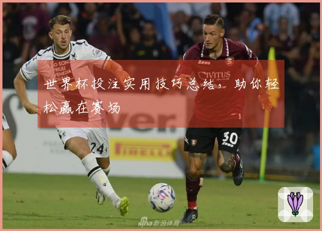 世界杯投注实用技巧总结，助你轻松赢在赛场