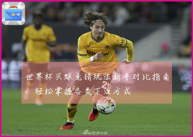 世界杯买球竞猜玩法新手对比指南，轻松掌握各类下注方式