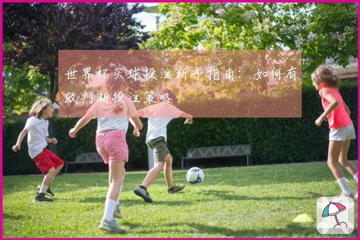 世界杯买球投注新手指南：如何有效判断投注策略