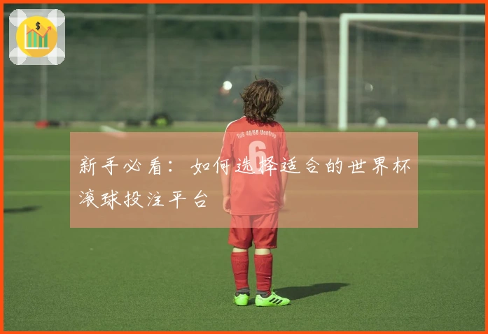 新手必看：如何选择适合的世界杯滚球投注平台