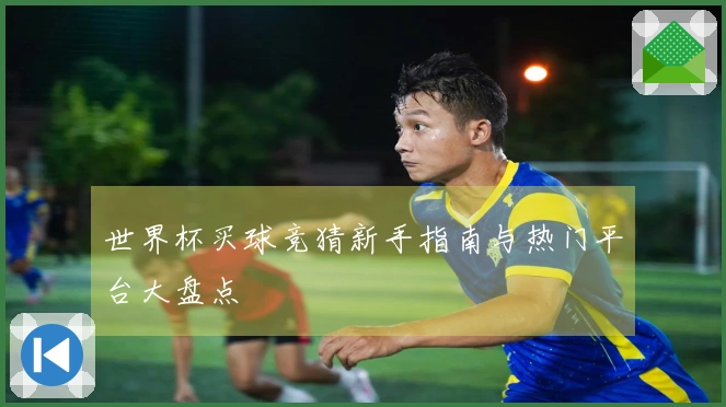 世界杯买球竞猜新手指南与热门平台大盘点